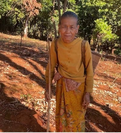 An elderly indigenous woman with a walking stick and woven back-basket stands on a forest path